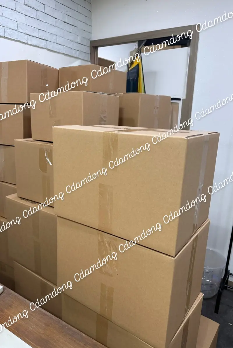 2a8c0afcf0579c2d328bb705ada32d9f_1724926815_6764.jpg 2a8c0afcf0579c2d328bb705ada32d9f_1724926815_6764.jpg