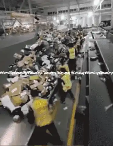 784ab56e618378ee3dbaef66f5404715_1727178450_7008.gif