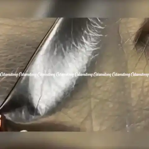 e5c10c32f7ea1fd348ba0ee69c38e693_1747013259_784.gif