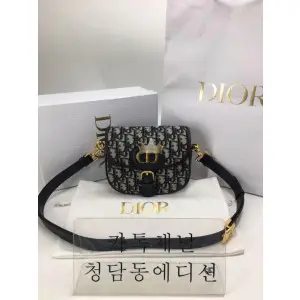 디올 바비백 스몰/미디움