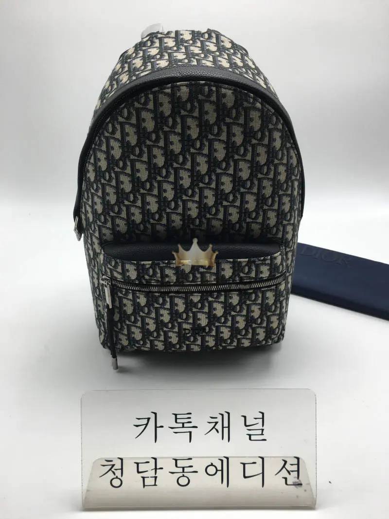 디올 RIDER 오블리크 백팩