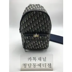 디올 RIDER 오블리크 백팩