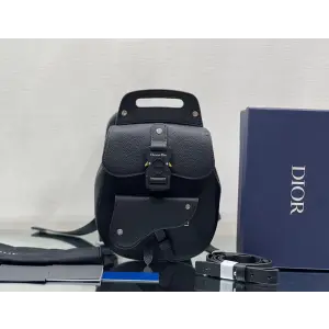 디올 CD 갤롭 백팩