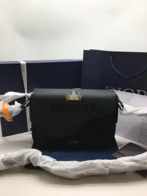 디올 CD 오블리크 새들 메신저백