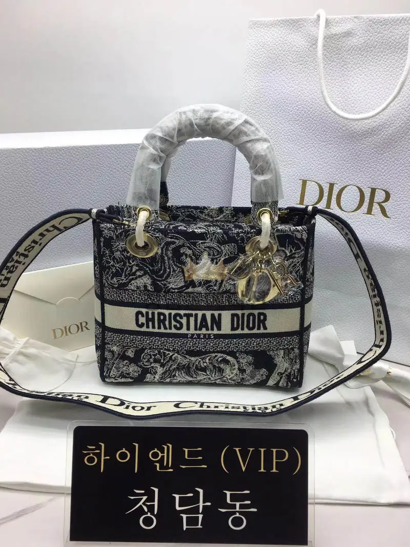 디올 레이디 D LITE 백 미디움