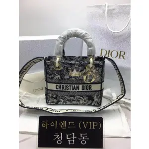 디올 레이디 D LITE 백 미디움