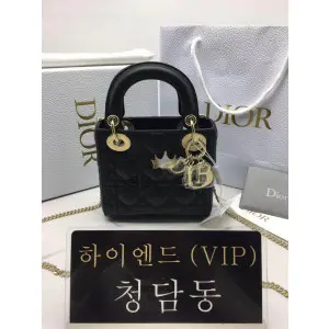 디올 레이디백 미니 (램스킨)