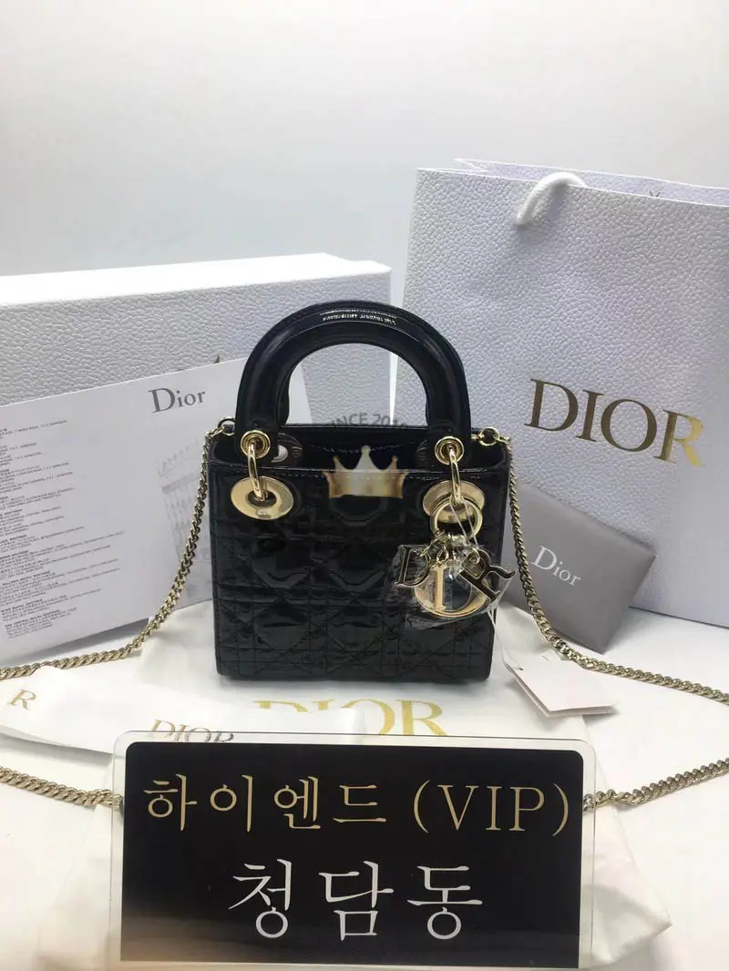 디올 레이디백 미니 (카프스킨)