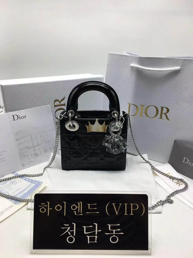 디올 레이디백 미니 (카프스킨)