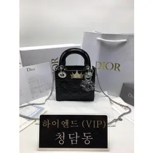 디올 레이디백 미니 (카프스킨)