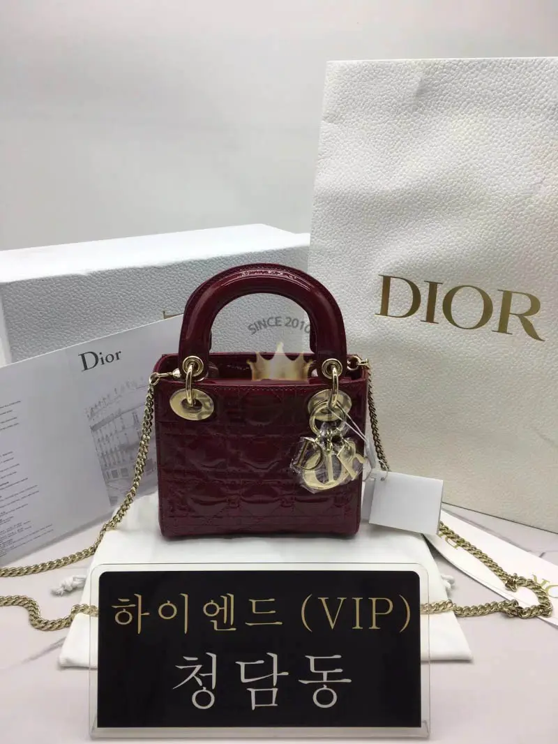 디올 레이디백 미니 (카프스킨)