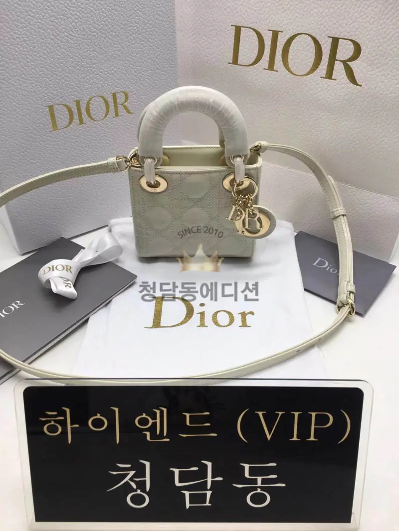 디올 레이디백 페이던트 마이크로