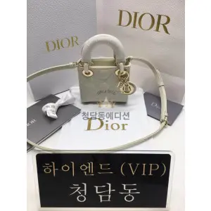 디올 레이디백 페이던트 마이크로