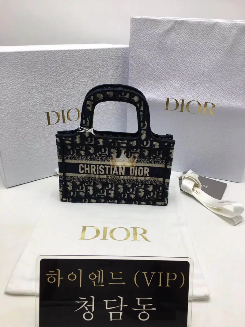 디올 북토트백 미니