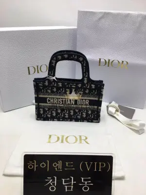 디올 북토트백 미니