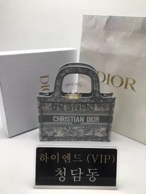 디올 북토트백 미니