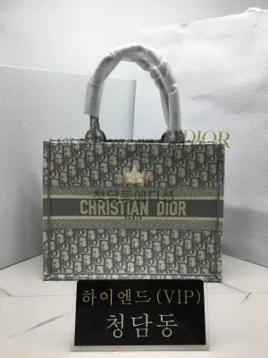 디올 북토트백 미디움