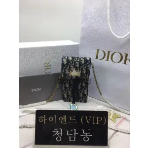 디올 새들 버티컬 파우치