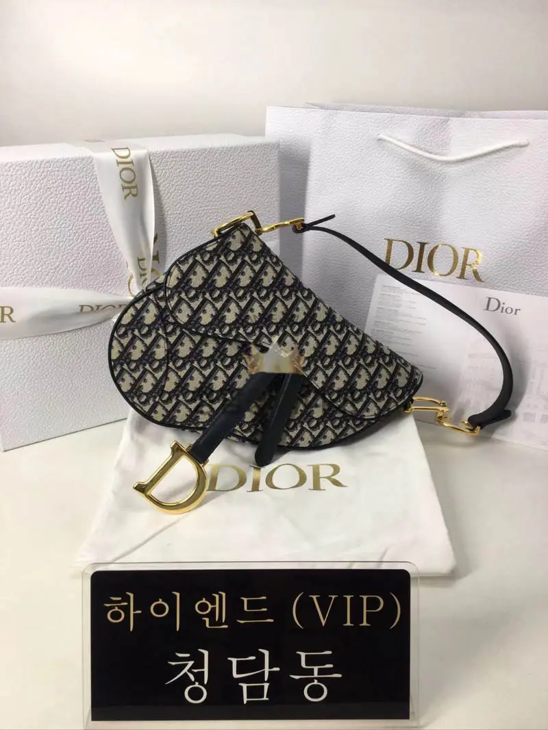 디올 오블리크 새들백 미니 / 미디움