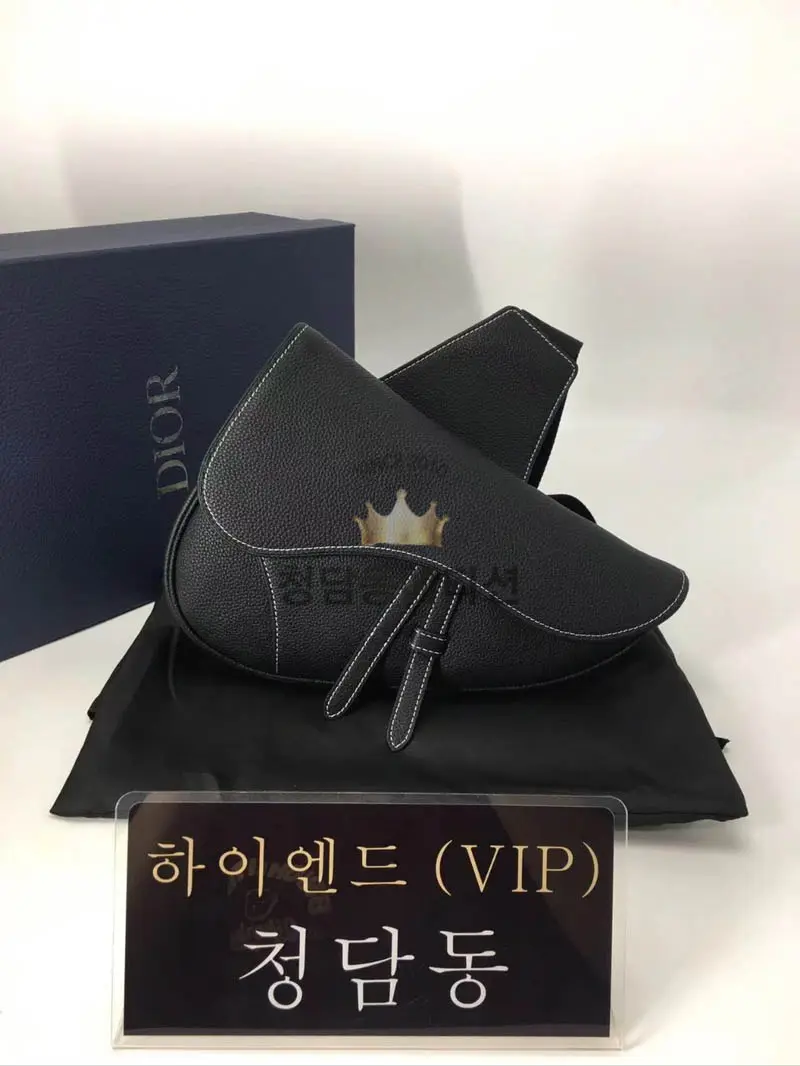 디올 오블리크 새들백 스몰
