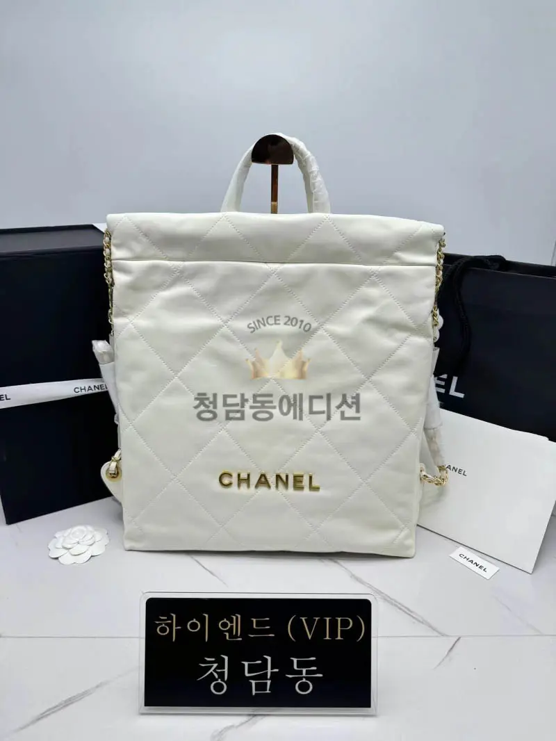 샤넬 22 백팩