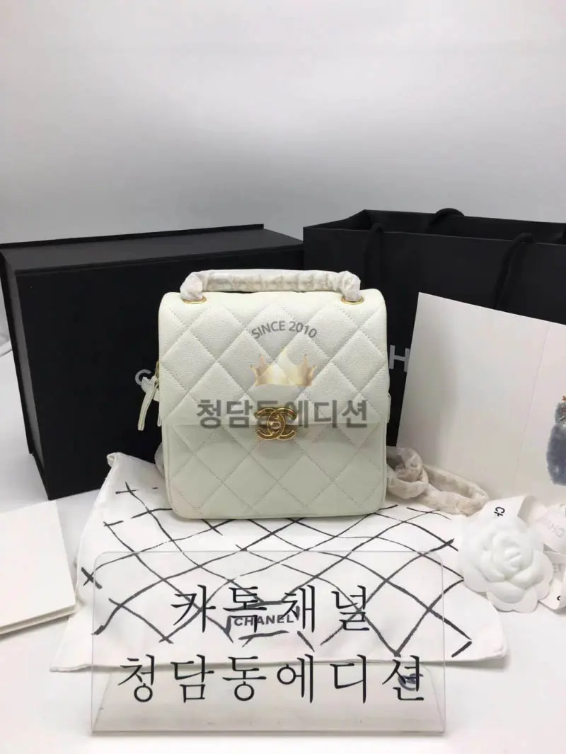 샤넬 체인 백팩 (하이엔드급)