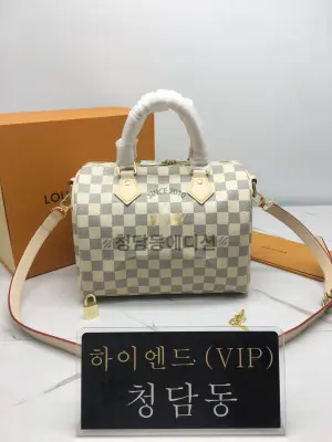 루이비통 스피디 다미에 아주르 25 N41374