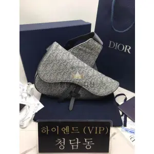 디올 오블리크 새들백 스몰