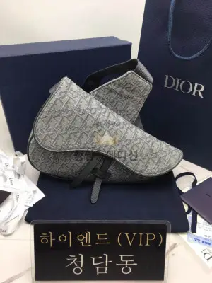 디올 오블리크 새들백 스몰