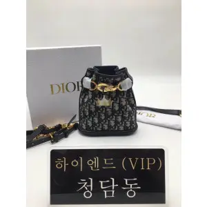 디올 CD C'EST 오블리크 백 스몰 / 미디움