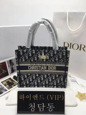 디올 북토트백 스몰
