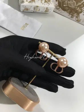 디올 dior 귀걸이