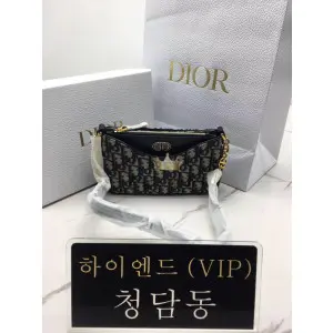 디올 30몽테인 에비뉴 호보백