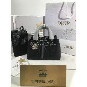 디올 뚜주흐 스몰백