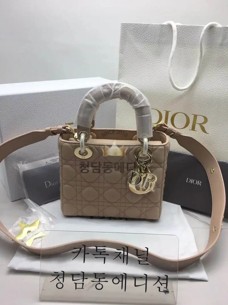 디올 레이디백 스몰
