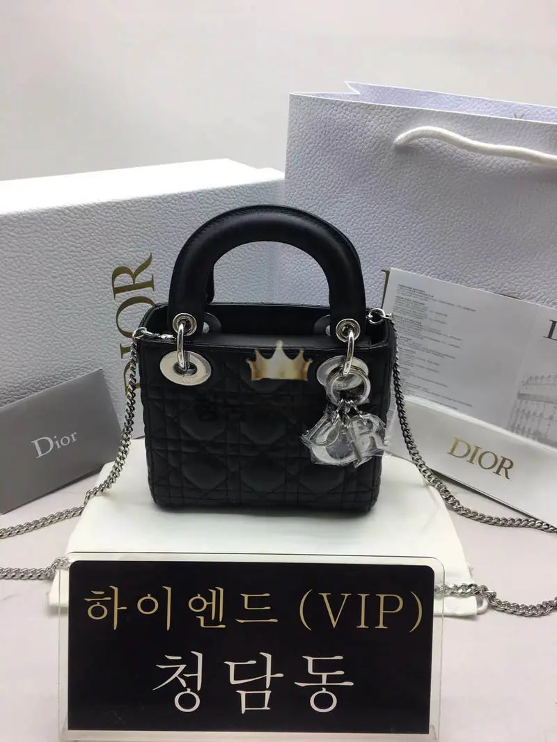디올 레이디백 미니 (램스킨) (구형)