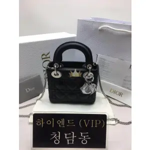 디올 레이디백 미니 (램스킨) (구형)