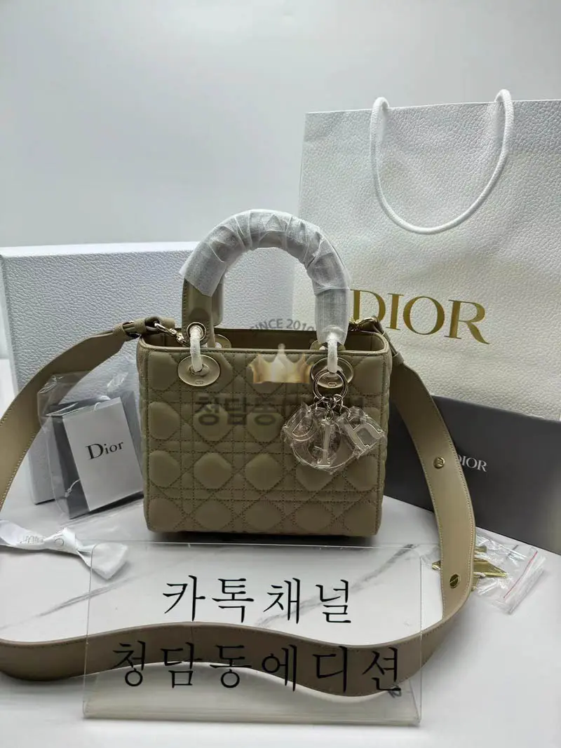 디올 램스킨 레이디백 MY ABC
