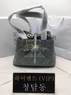 디올 뚜주흐 미디움 백 (upgrade ver.) (컬러 락 그레이)