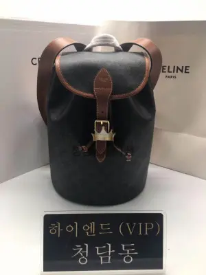 셀린느 트리옴페 폴코 미디엄 백팩 117902CAS.04LU