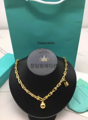 티파니 하드웨어 목걸이 (컬러 옐로우골드)