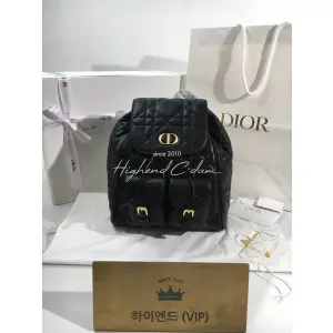 디올 카로 백팩 미디움