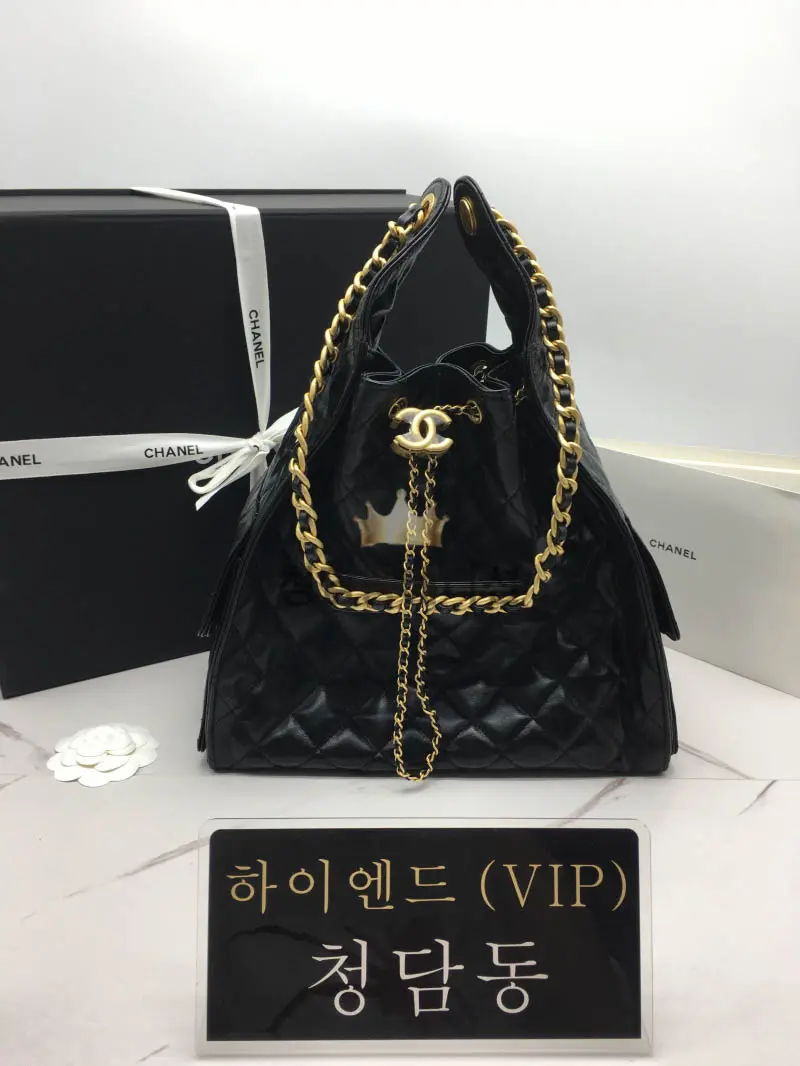 샤넬 25C 크루즈 뉴 호보백 미디움 (25백)