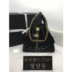 샤넬 25C 크루즈 뉴 호보백 미디움 (25백)