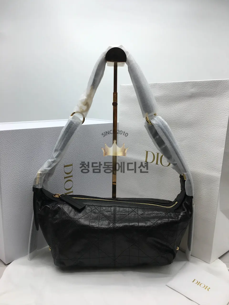 디올 디저니 스몰 백