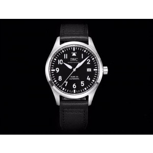 IWC 마크 XX 40mm
