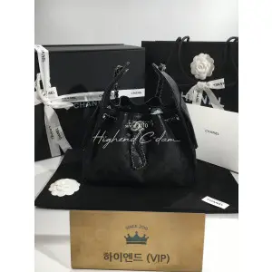 샤넬 26B 크루즈 뉴 호보백 스몰 (25백)