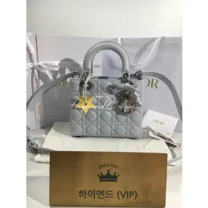 디올 레이디백 스몰